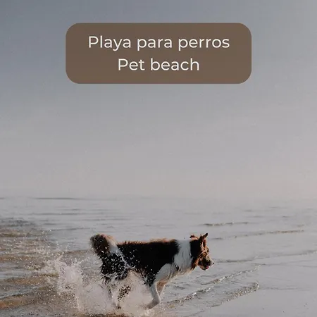 Chocolate Cookie- Piscina, Terraza Soleada, Cocina Completa Y Wifi * Κοραλέχο