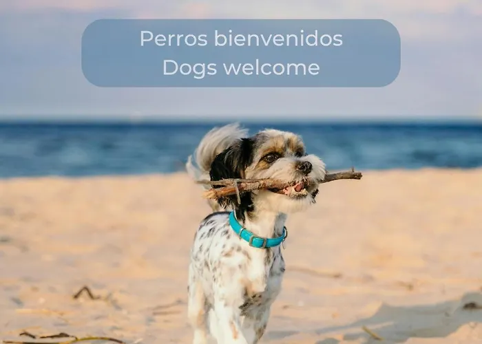 Chocolate Cookie- Ac, High Speed Internet, Desk With Natural Light, Sunny Terrace And Pool Apartman *