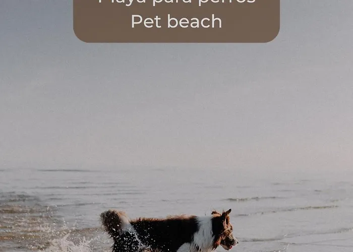 Chocolate Cookie- Ac, High Speed Internet, Desk With Natural Light, Sunny Terrace And Pool * Corralejo