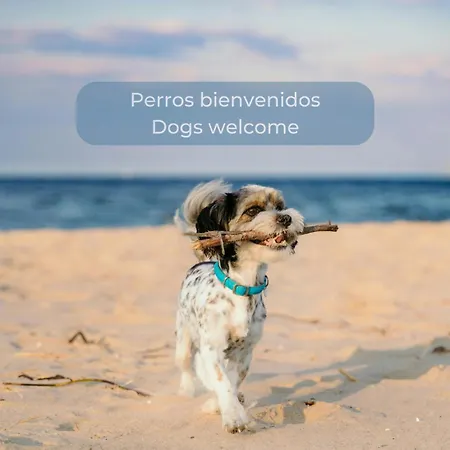 Chocolate Cookie- Ac, High Speed Internet, Desk With Natural Light, Sunny Terrace And Pool Appartement *